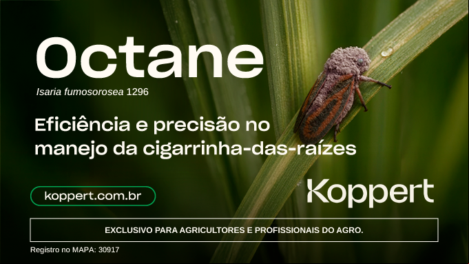 Apoio Cultural